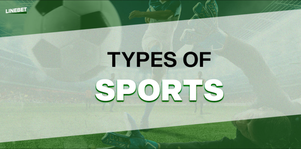 Overview of types of bets and sports on LineBet